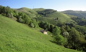 05 Verso la Costa del Palio